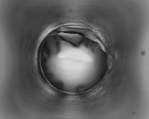 X0000098150296200805011414
