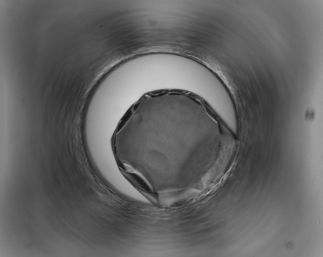 X0000098150297200805011414