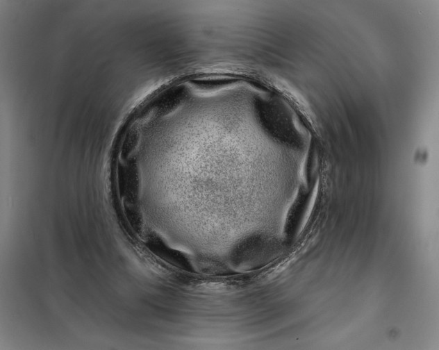 X0000098150298200805011414