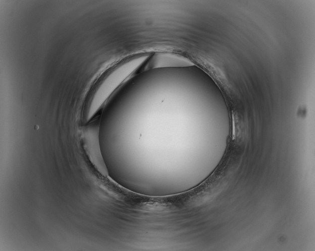 X0000098150300200805011414