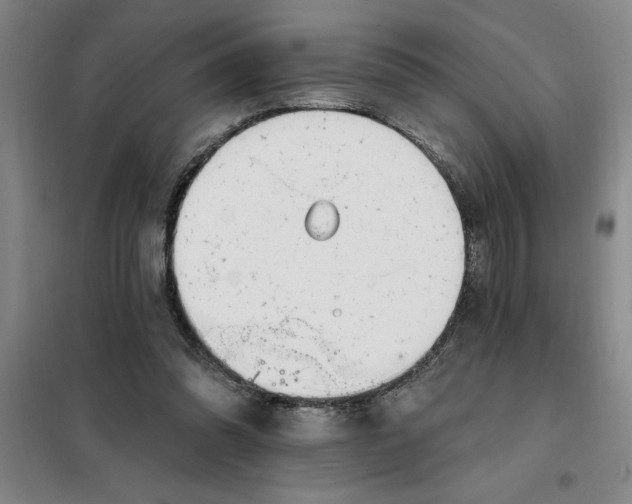 X0000098150302200805011414