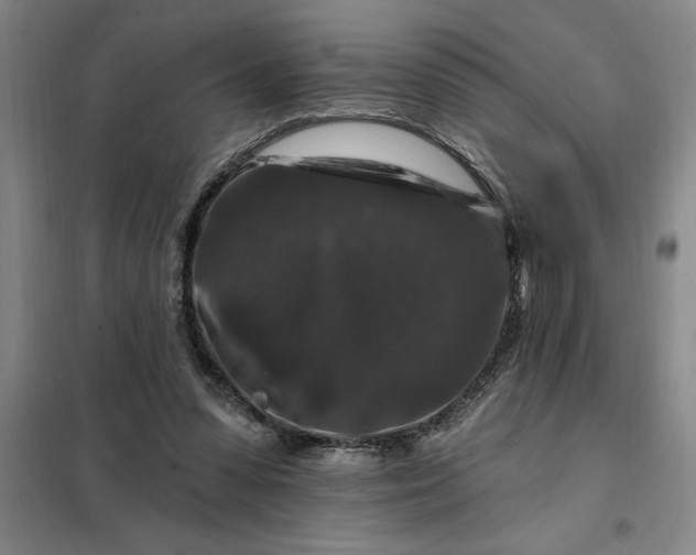 X0000098150303200805011414