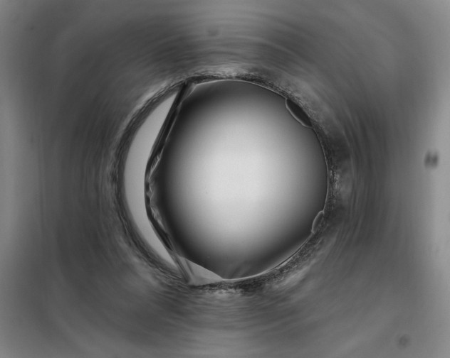 X0000098150304200805011414