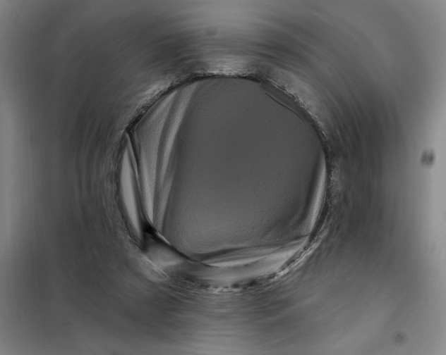 X0000098150305200805011414