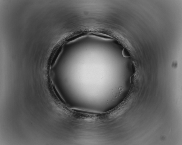 X0000098150306200805011414