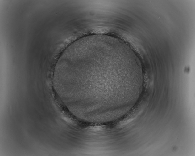X0000098150307200805011414