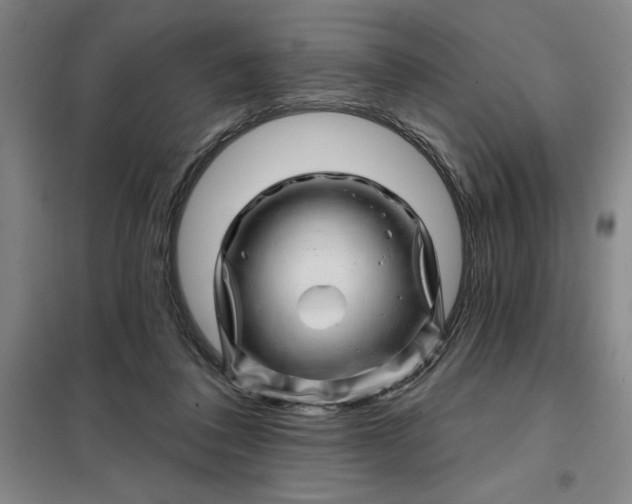 X0000098150308200805011414