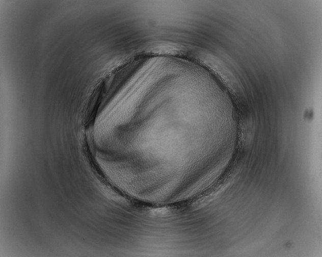 X0000098150309200805011414