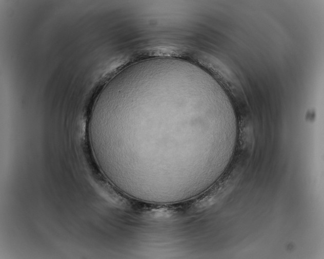 X0000098150310200805011414