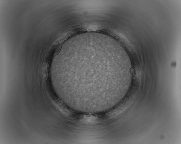 X0000098150311200805011414