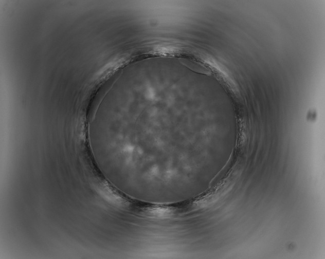 X0000098150313200805011413