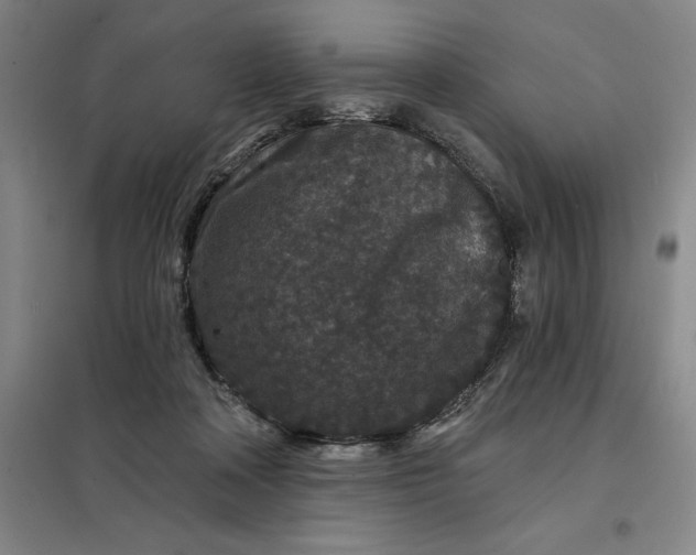 X0000098150314200805011413