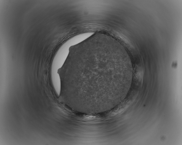 X0000098150315200805011413