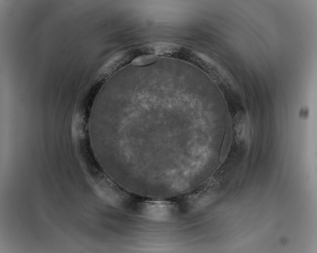X0000098150316200805011413