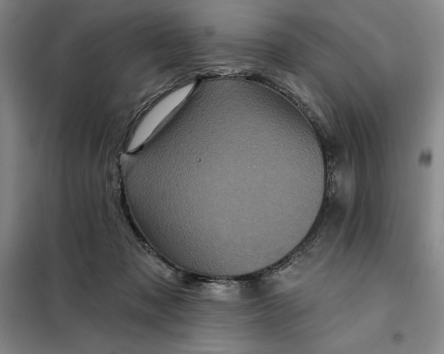 X0000098150317200805011413