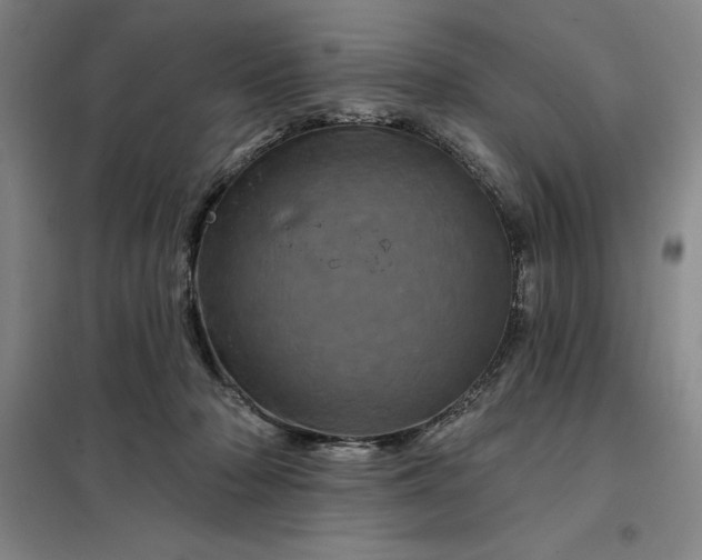 X0000098150318200805011413