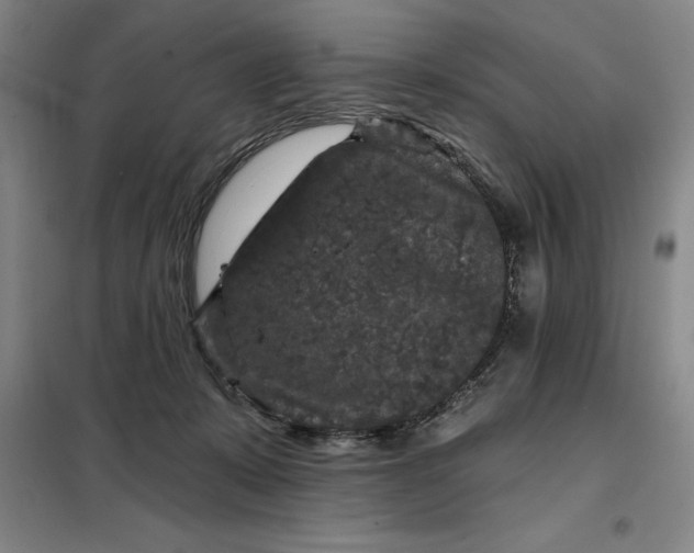 X0000098150319200805011413