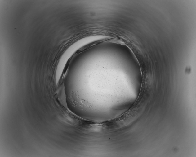 X0000098150320200805011413