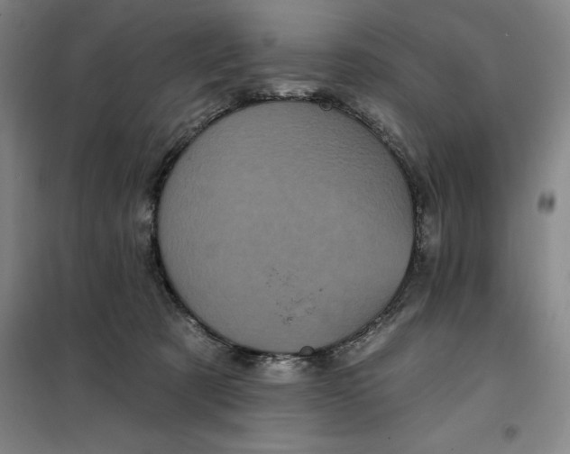 X0000098150321200805011413