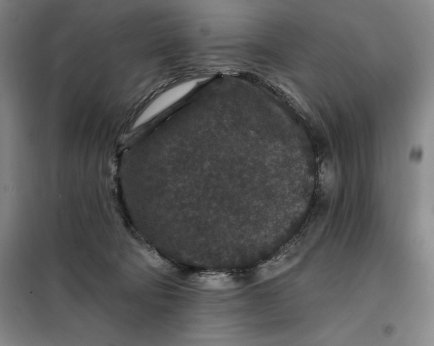 X0000098150322200805011413