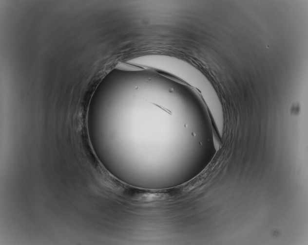 X0000098150323200805011413