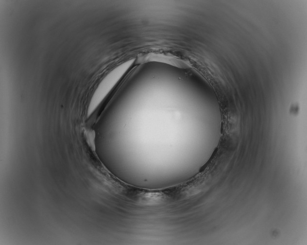 X0000098150324200805011413