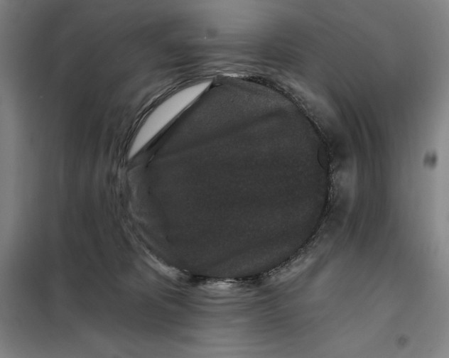 X0000098150325200805011413