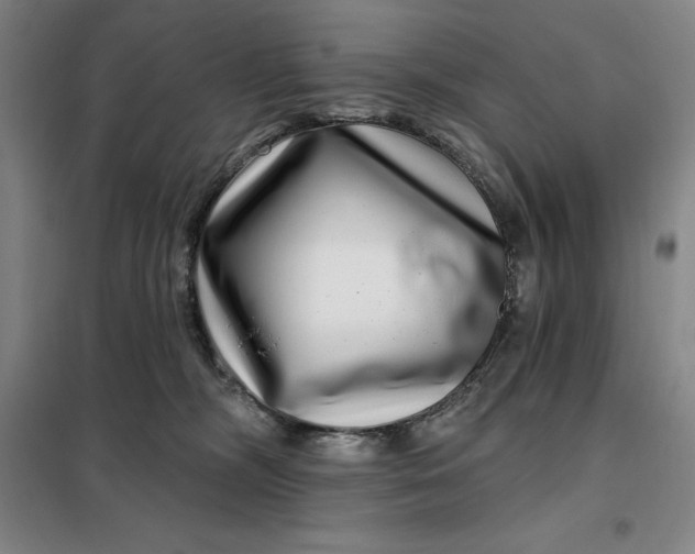 X0000098150326200805011413