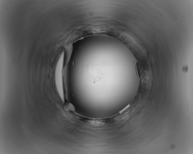 X0000098150327200805011413