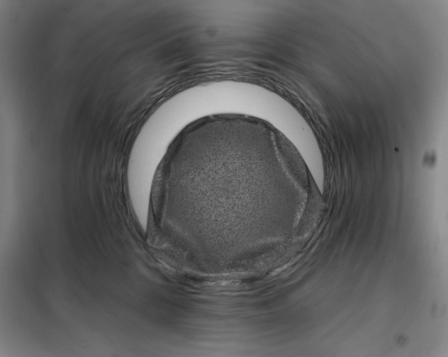X0000098150328200805011413