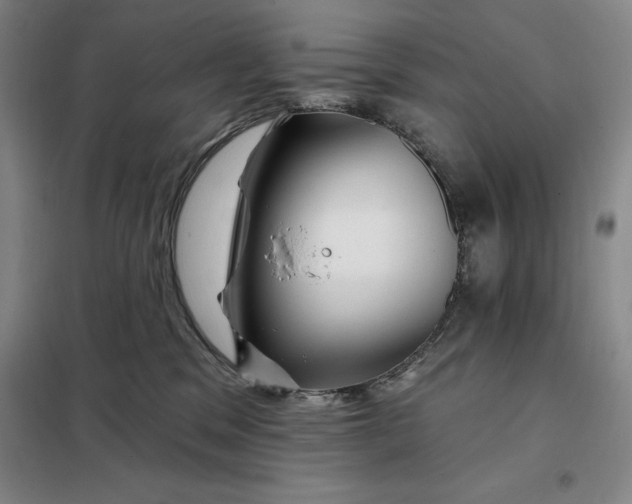 X0000098150329200805011413