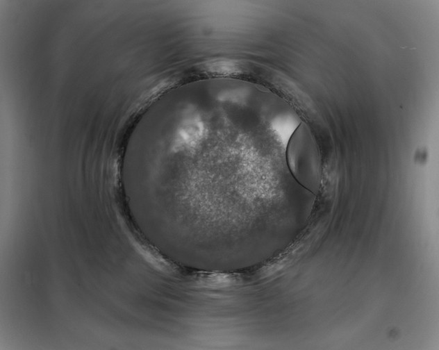 X0000098150330200805011413