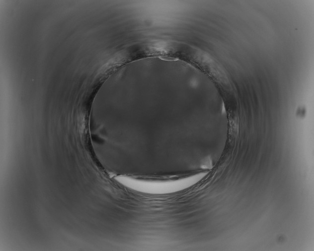 X0000098150331200805011413