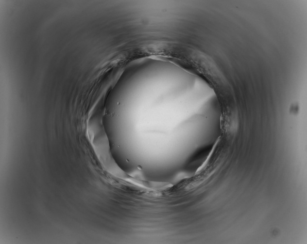 X0000098150332200805011413