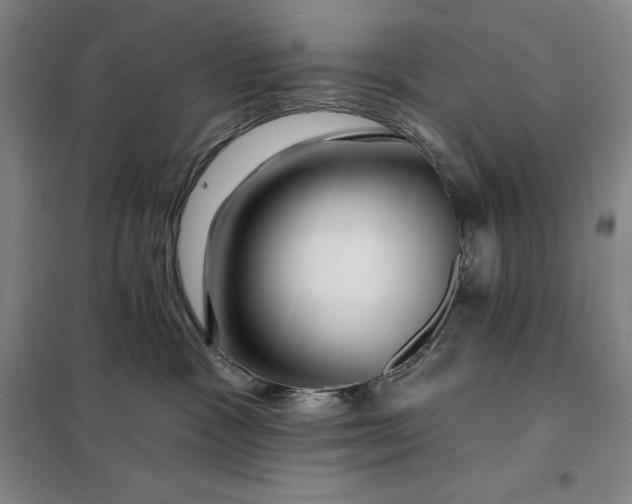 X0000098150333200805011413