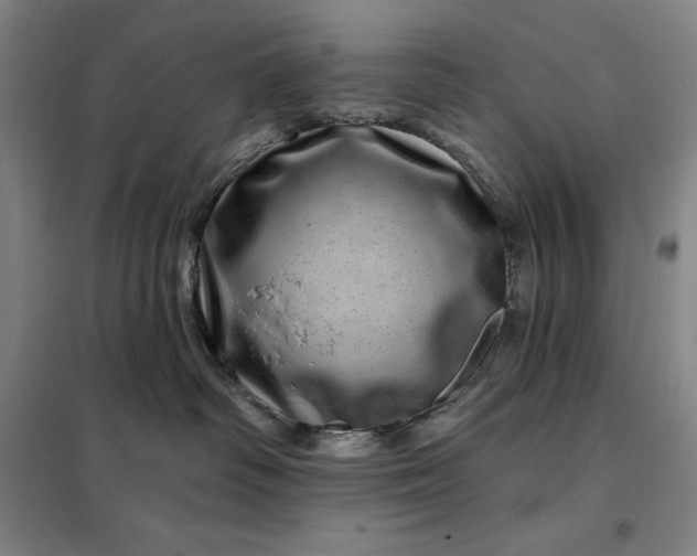 X0000098150334200805011413