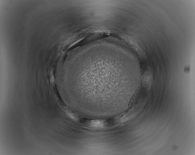 X0000098150335200805011413