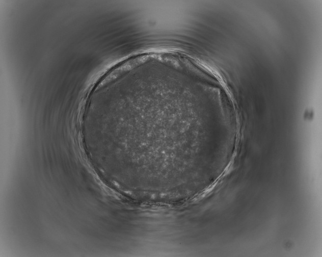 X0000098150337200805011413