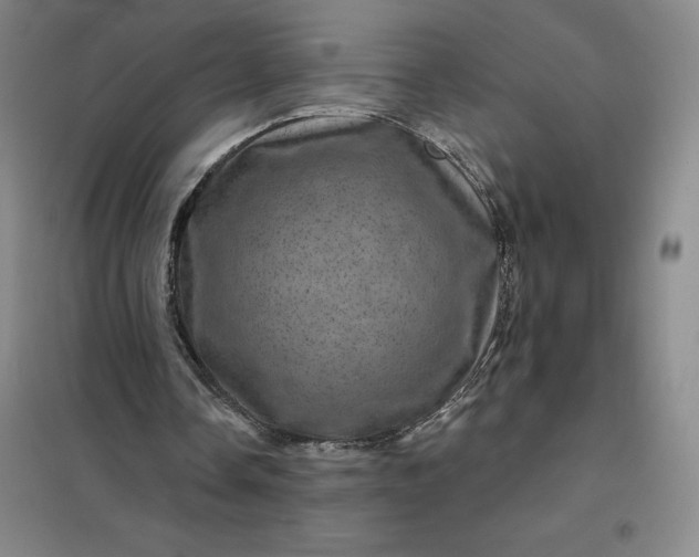 X0000098150338200805011413