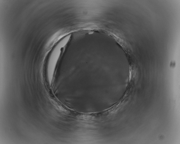 X0000098150339200805011413