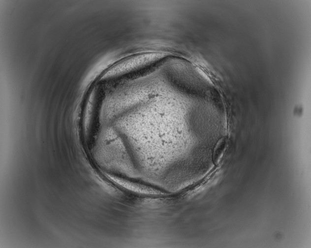 X0000098150341200805011413