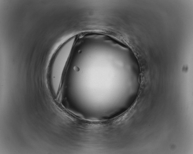 X0000098150342200805011413
