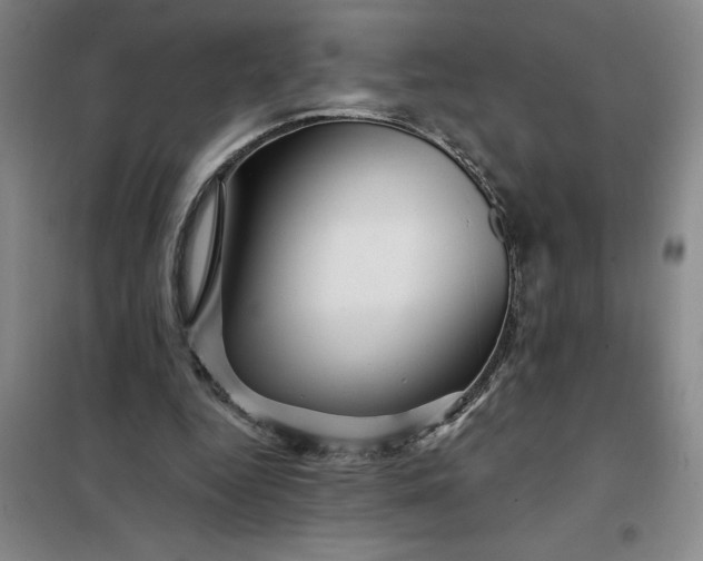 X0000098150344200805011413