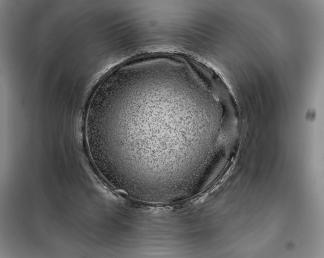 X0000098150345200805011413