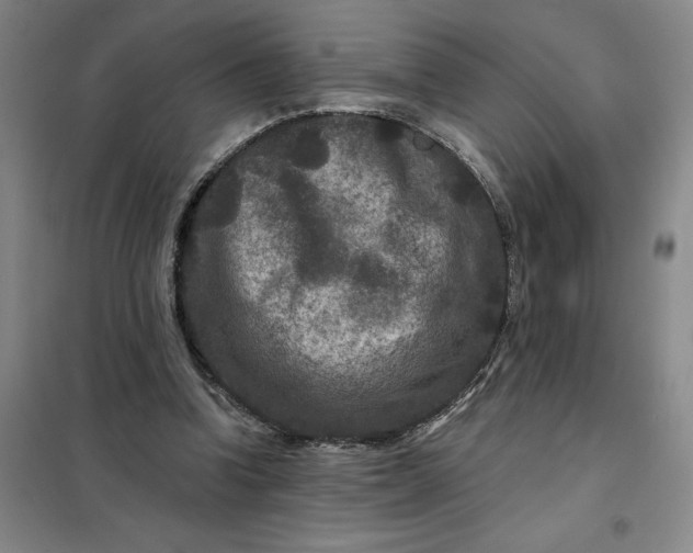 X0000098150346200805011413