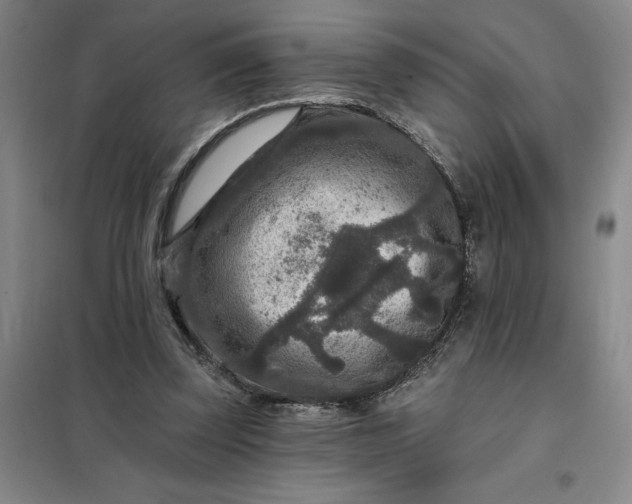 X0000098150347200805011413