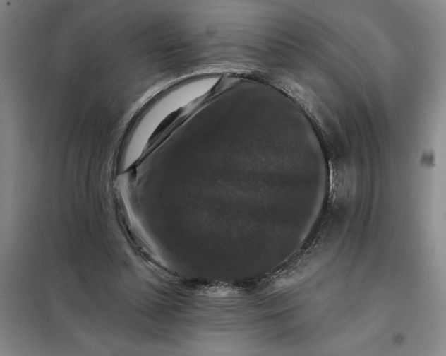 X0000098150348200805011413