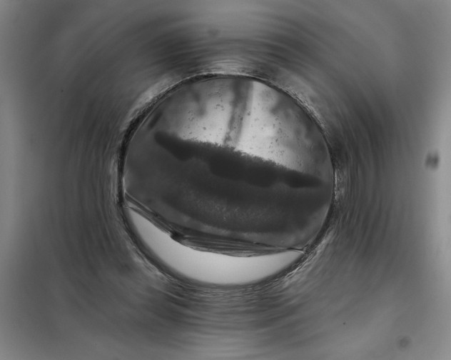 X0000098150349200805011413