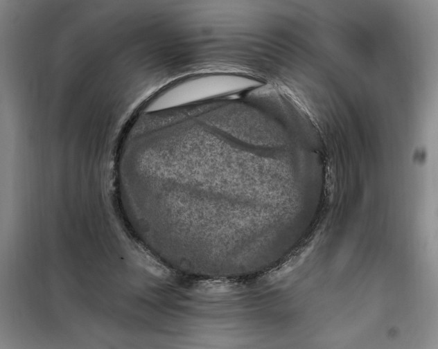 X0000098150351200805011413