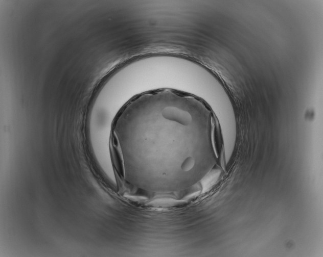 X0000098150352200805011413